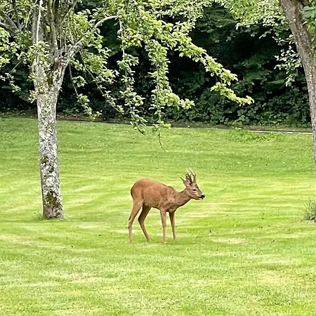Les 2 Chaumieres Piscine & Honfleur בית נופש Ablon