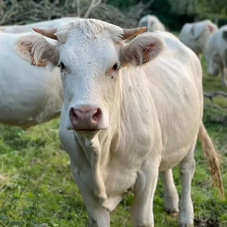 בית נופש Les 2 Chaumieres Piscine & Honfleur Ablon
