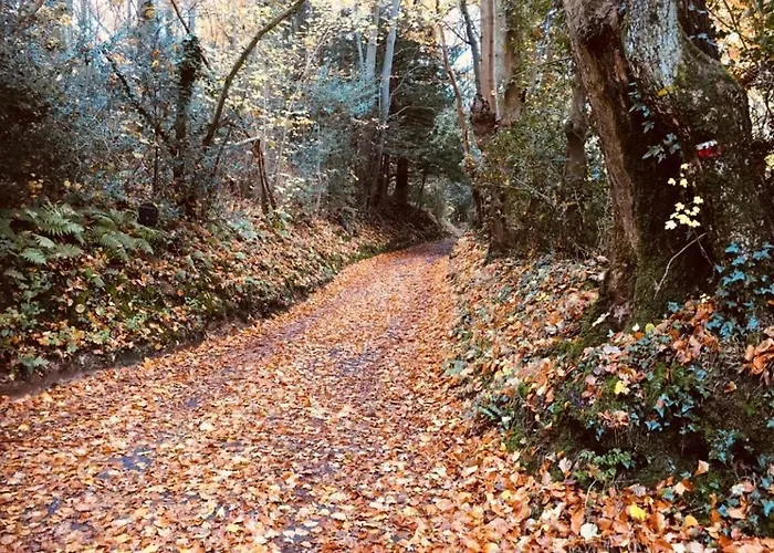 Les 2 Chaumieres Piscine & Honfleur Дом отдыха *