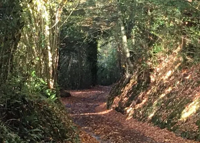 Les 2 Chaumieres Piscine & Honfleur