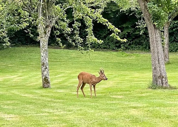 Les 2 Chaumieres Piscine & Honfleur Feriehus Ablon
