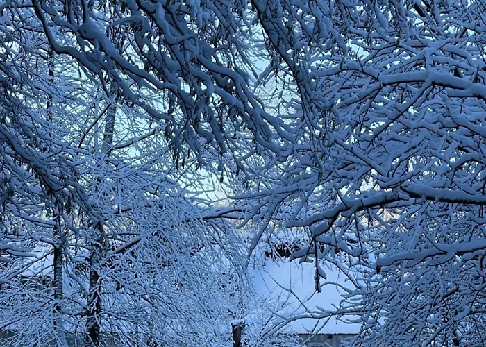 Les 2 Chaumieres Piscine & Honfleur Дом отдыха *